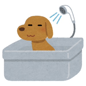 pet_dog_bath